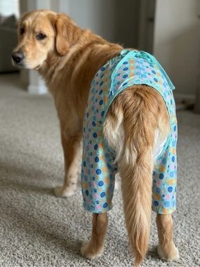 Top Paw Aqua Paw & Shell Print Hooded Dog Pants - Open behind (: